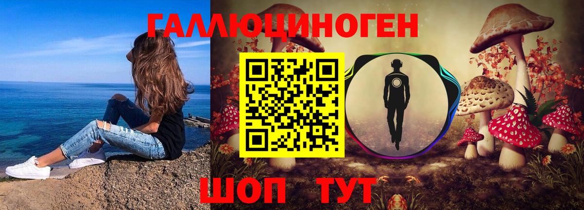 Гусиноозёрск  Псилоцибиновые грибы GOLDEN TEACHER  Галлюциногенные грибы Magic Shrooms  Вход с VPN 